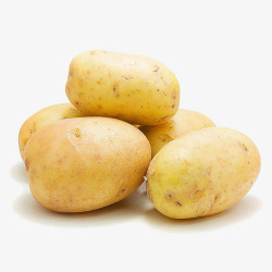 农家特产松茸鲜嫩土豆高清图片