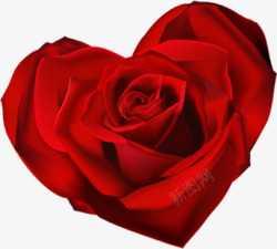 爱心玫瑰红色七夕情人节素材