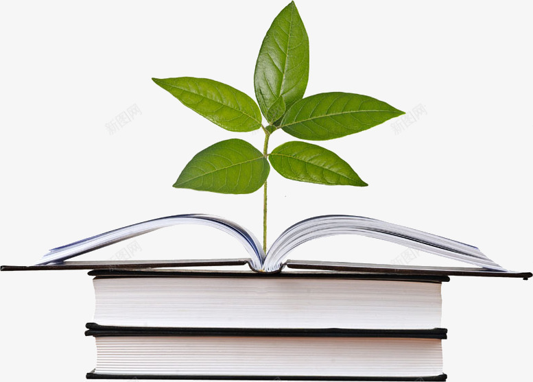 书本与树叶png免抠素材_新图网 https://ixintu.com 书本 书籍 教育 植物 环保 知识 绿色 读书