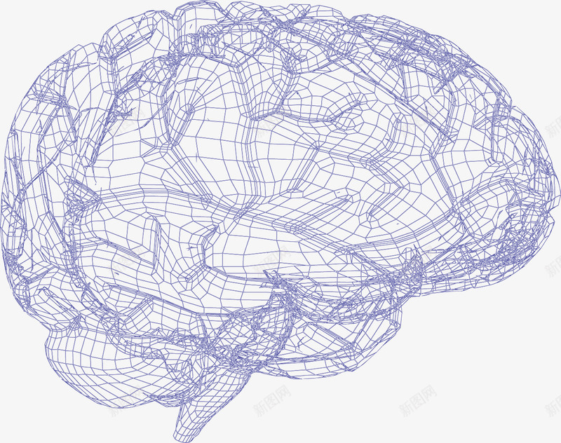 手绘大脑结构png免抠素材_新图网 https://ixintu.com 大脑结构 手绘 组织