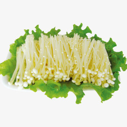 火锅沾料蔬菜上的金针菇高清图片