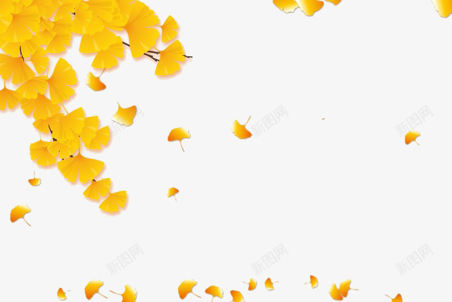 秋天到了png免抠素材_新图网 https://ixintu.com 枫叶 树叶 树枝 植物 落下 飞剑