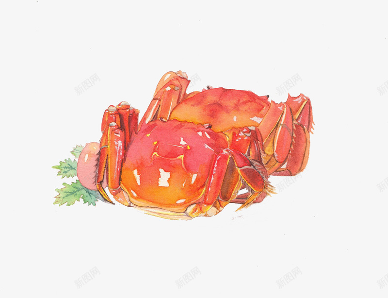 海蟹png免抠素材_新图网 https://ixintu.com 传统美食 大海蟹 小海蟹 海蟹 海鲜 生物世界 螃蟹 蟹 蟹黄 鱼类