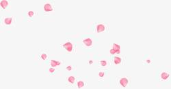 悬浮的粉色玫瑰花瓣素材