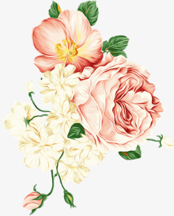 花瓶与花朵粉色牡丹花高清图片