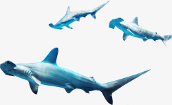 蓝色游泳鲨鱼素材