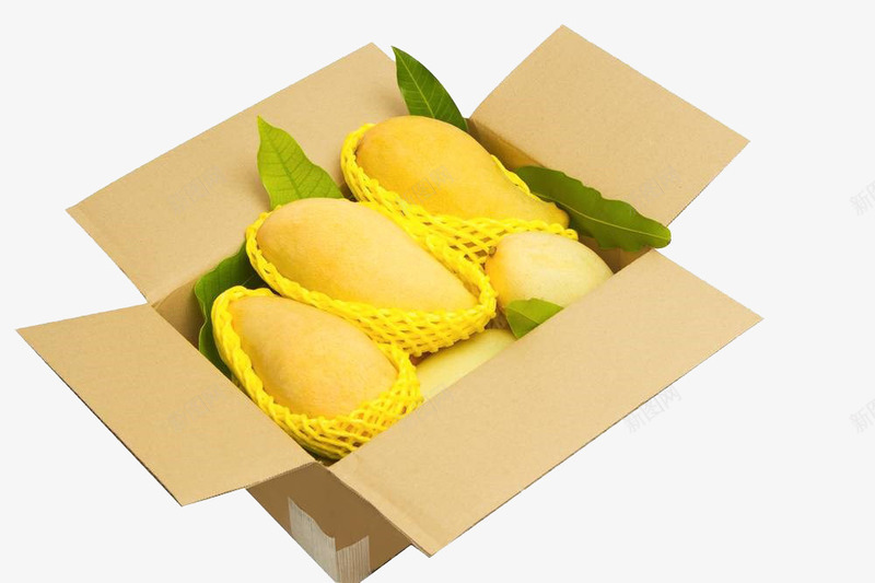 芒果png免抠素材_新图网 https://ixintu.com 有机 水果 热带水果 芒果