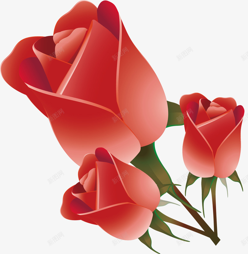 三支红玫瑰png免抠素材_新图网 https://ixintu.com 浪漫玫瑰 玫瑰花 玫瑰花束 红玫瑰