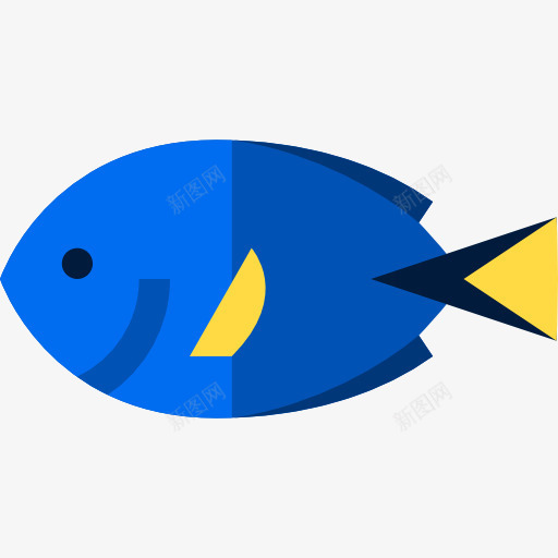 鱼图标png_新图网 https://ixintu.com 动物 水产 海洋 海洋生命水族馆 鱼