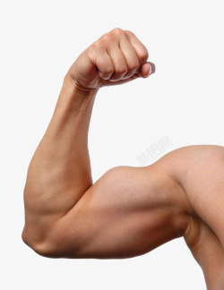 性感男人手臂肌肉的男高清图片
