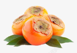 带网格食物新鲜柿子元素高清图片