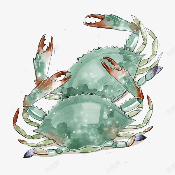 水彩海鲜png免抠素材_新图网 https://ixintu.com 卡通 彩色 手绘 水彩 海鲜 绿色 螃蟹 装饰 食物