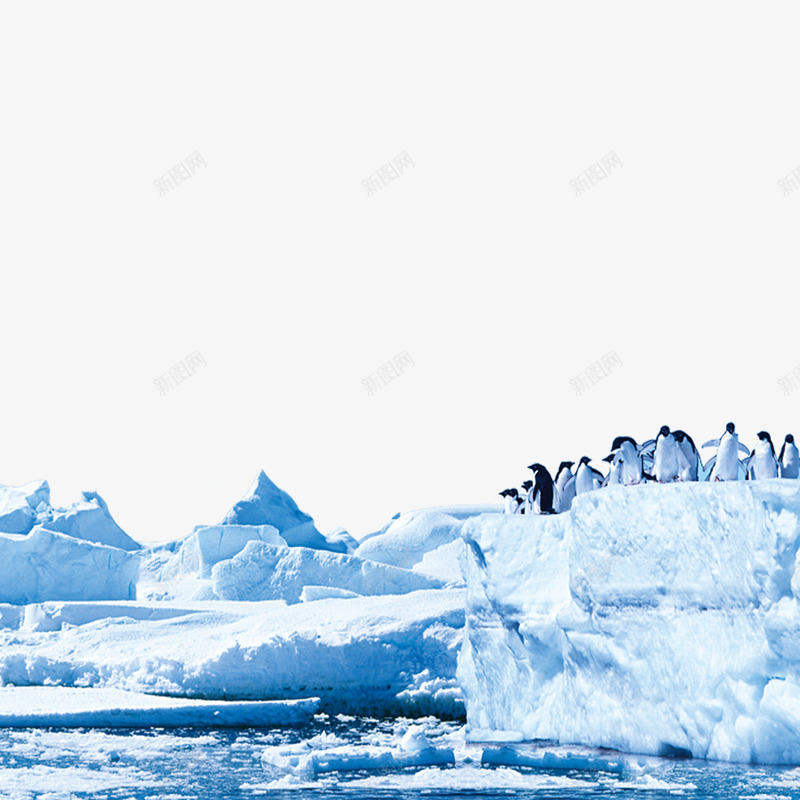 冰山边的企鹅png免抠素材_新图网 https://ixintu.com 企鹅 可爱的摆摆 摇晃