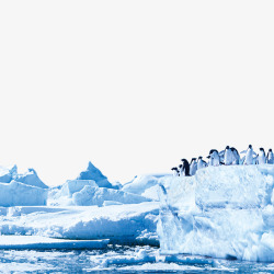 可爱的摆摆冰山边的企鹅高清图片