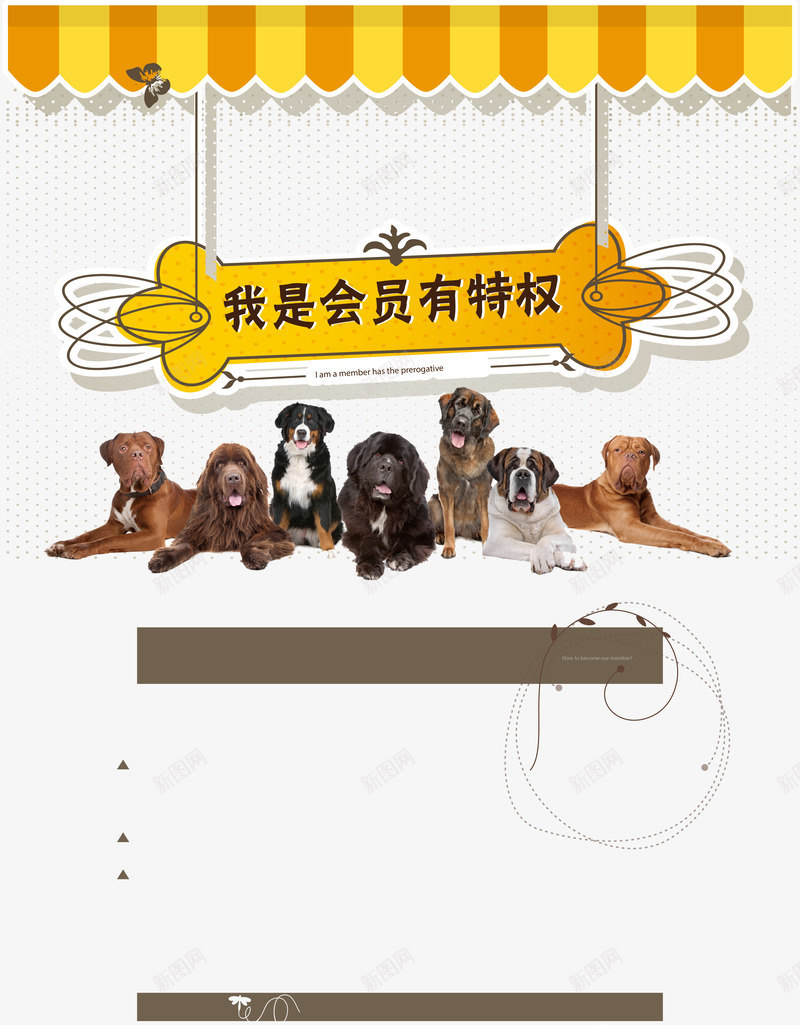 宠物店png免抠素材_新图网 https://ixintu.com 医疗宣传单 卡通人物 宠物 宠物医院 宠物店 宠物店会员 宠物店宣传单 狗