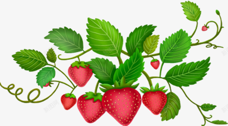 红色卡通草莓植物树叶png免抠素材_新图网 https://ixintu.com 卡通 树叶 植物 红色 草莓
