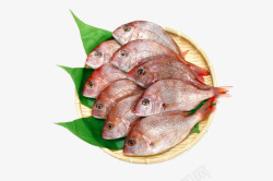 筛子上的红色鱼筛子上的红色鱼高清图片