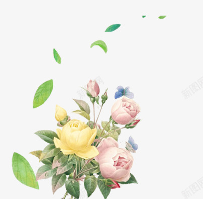 花卉专辑png免抠素材_新图网 https://ixintu.com 五颜六色 叶子漂浮 树叶 花卉 花朵