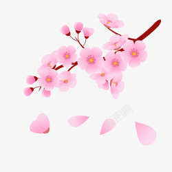 樱花粉红色白色花瓣春天桃花花朵花瓣春季樱花桃花素矢量图高清图片