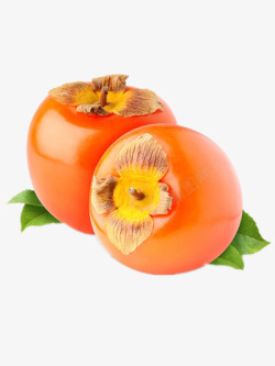 橙色柿子成熟的柿子高清图片
