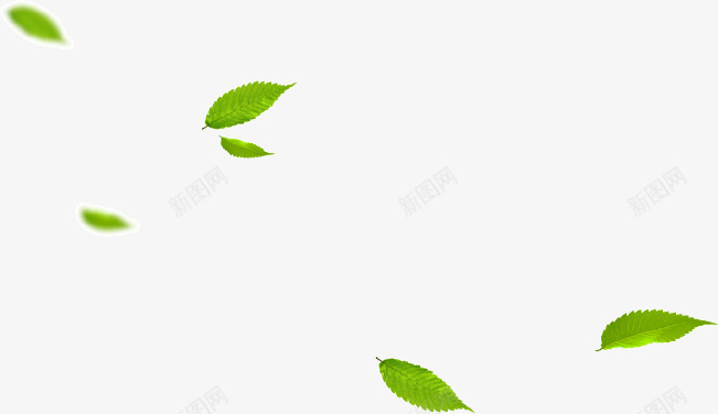 落叶归根png免抠素材_新图网 https://ixintu.com 归根 树叶 落叶