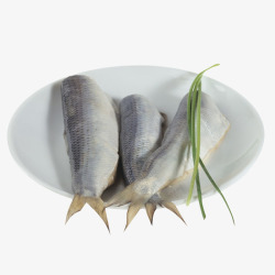 白盘子鲱鱼身素材