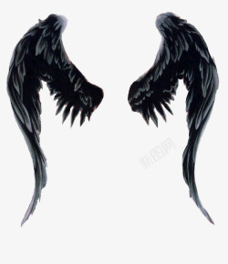 天使与恶魔一双黑色的翅膀高清图片