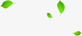 绿色树叶样式温馨提示png免抠素材_新图网 https://ixintu.com 提示 树叶 样式 温馨 绿色