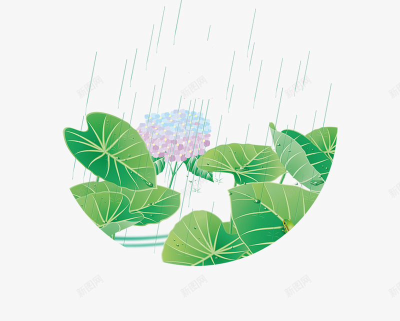 手绘荷叶与花朵雨滴装饰psd免抠素材_新图网 https://ixintu.com 手绘画 手绘花朵 手绘花草 手绘荷叶 草装饰 雨滴