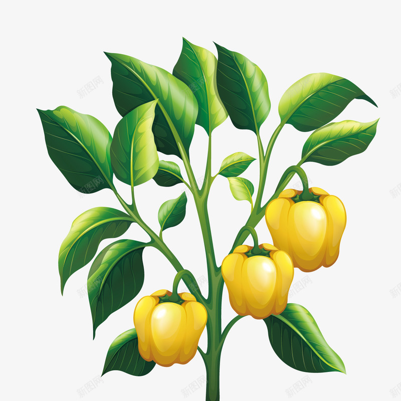 太空椒矢量图ai免抠素材_新图网 https://ixintu.com 3D 太空辣椒 植物 矢量图 种植栽培 黄色