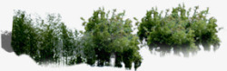 公园背景效果绿色植物公园景观效果图高清图片