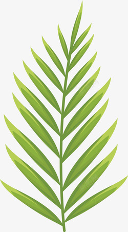 绿色棕榈叶叶子图矢量图素材