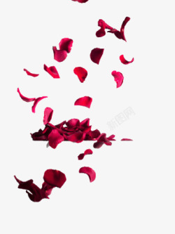 红色玫瑰花瓣漂浮装饰素材