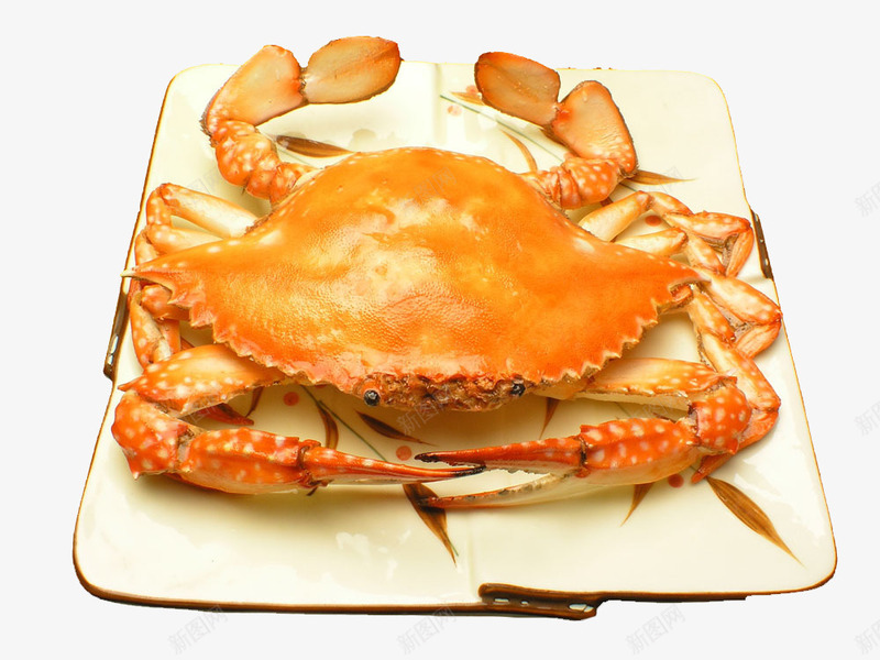 一只螃蟹png免抠素材_新图网 https://ixintu.com 一只螃蟹图片素材免费下载 海鲜 美味 营养美食 螃蟹图片 食材