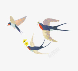 菜鸟春天装饰插图手绘燕子与油菜花高清图片