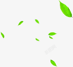 绿色漂浮树叶清新素材
