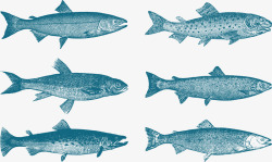海洋物种海洋多春鱼矢量图图标高清图片