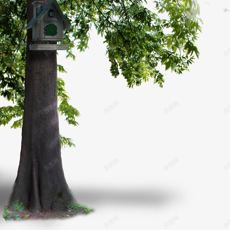 绿色大树png免抠素材_新图网 https://ixintu.com 大树 树干 树木 粗树干 绿色 鸟屋