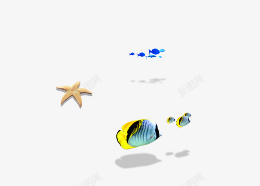 鱼png免抠素材_新图网 https://ixintu.com 海星 海鱼 海鲜 淘宝 淘宝素材 装饰 鱼类
