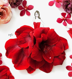 花朵组成的裙子红色花朵裙子高清图片