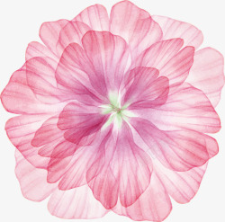 粉色多层花朵春天素材