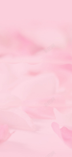 粉色梦幻树苗粉色梦幻花瓣背景高清图片