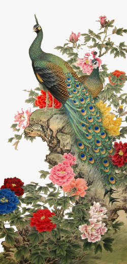 国画凤凰牡丹鸟类高清图片