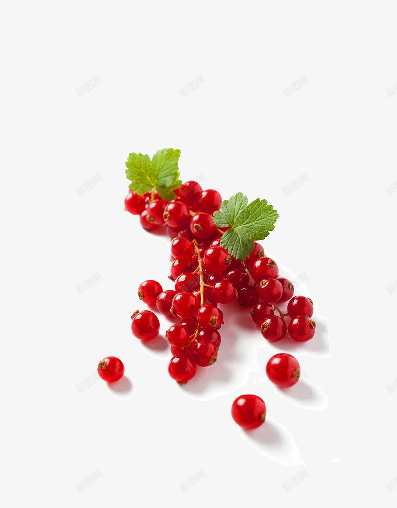 酸甜蔓越莓png免抠素材_新图网 https://ixintu.com 水果 红莓 蔓越梅 蔓越莓 蔓越莓干 蔬果 酸甜 食品 食物