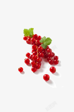红莓酸甜蔓越莓高清图片