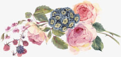 唯美水彩手绘植物花卉水彩矢量图素材