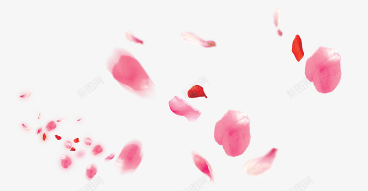 花瓣粉红色花瓣图标图标