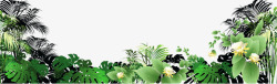 热带雨林手绘绿色植物高清图片