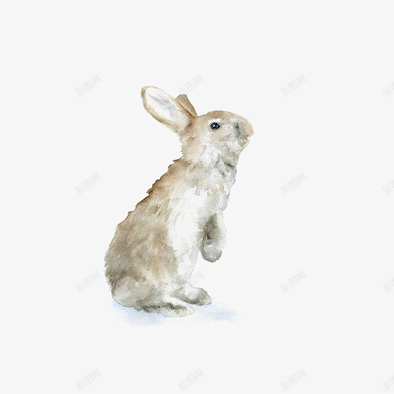 手绘的兔子效果图png免抠素材_新图网 https://ixintu.com 免抠图 兔子 动物 手绘兔子 效果图 装饰图 装饰画 野兔