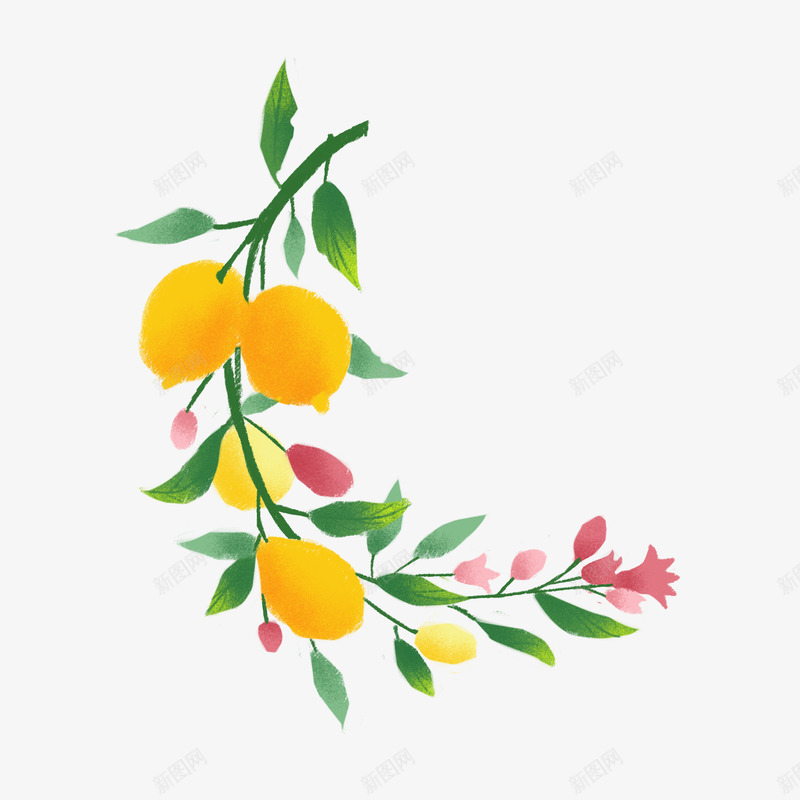 手绘黄色柠檬植物png免抠素材_新图网 https://ixintu.com 柠檬 柠檬树 植物 黄色的